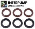 Interpump Service/Repair Kit 19