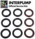Interpump Service/Repair Kit 113