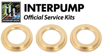 Interpump Service/Repair Kit 163