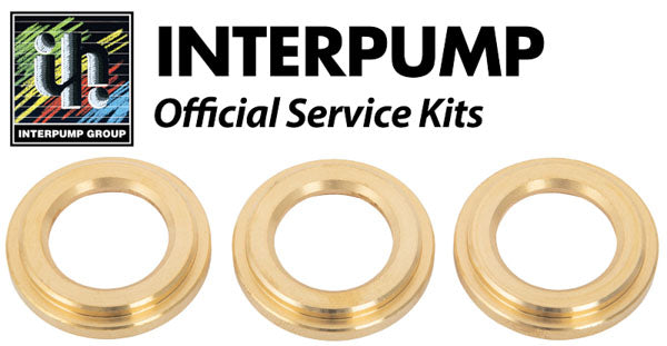 Interpump Service/Repair Kit 163