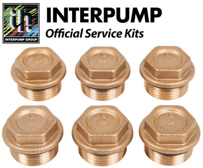 Interpump Service/Repair Kit 84