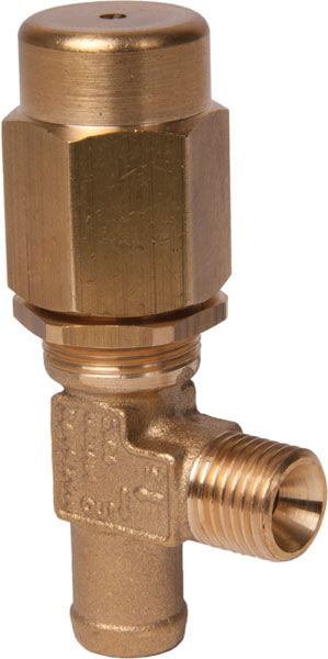 VS160 Regulating/Safety Relief Valve