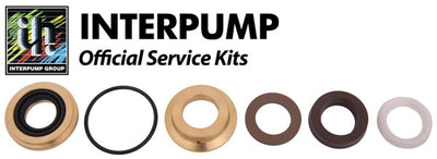 Interpump Service/Repair Kit 166