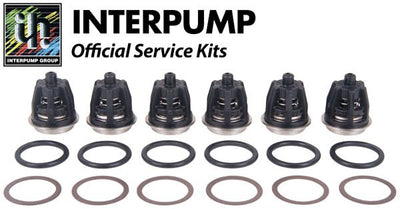 Interpump Service/Repair Kit 371
