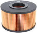 Hatz Air Filter