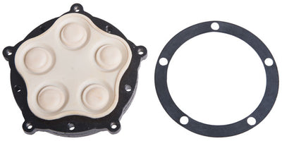 Everflo Diaphragm Assembly