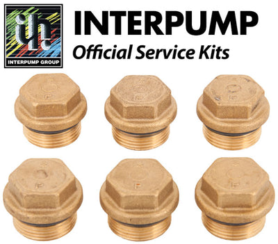 Interpump Service/Repair Kit 157