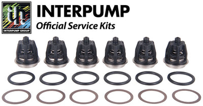 Interpump Service/Repair Kit 201
