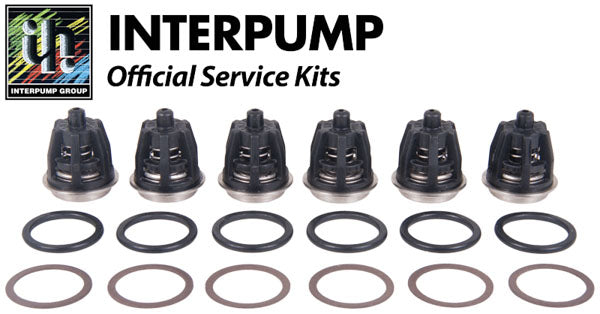 Interpump Service/Repair Kit 201