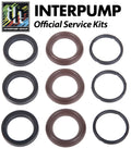 Interpump Service/Repair Kit 197