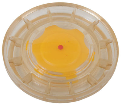 Oil Sight Glass