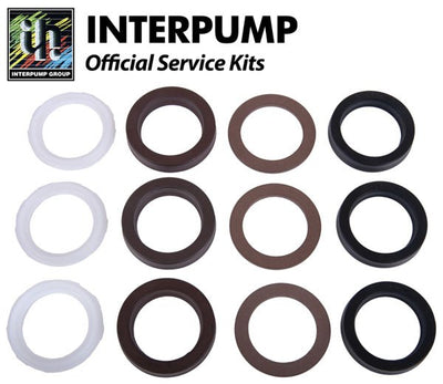 Interpump Service/Repair Kit 172