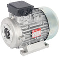 415V Electric Motor - 4.0 Hp - 1450 Rpm