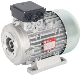 415V Electric Motor - 4.0 Hp - 1450 Rpm