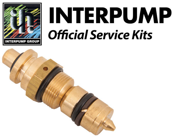 Interpump Service/Repair Kit 305