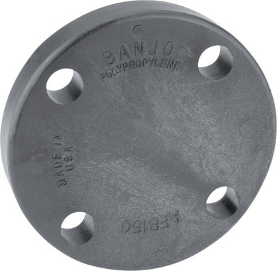 Banjo ANSI 150 Blind Flange 9901-AFB200