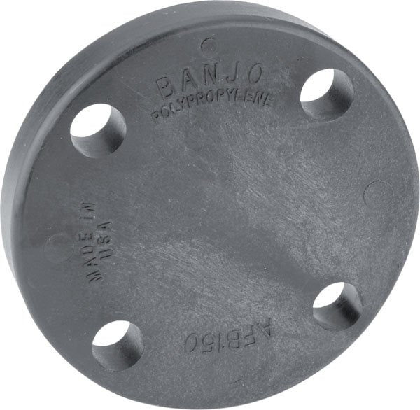 Banjo ANSI 150 Blind Flange