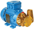 Jabsco P40 400V Oil Transfer Pump