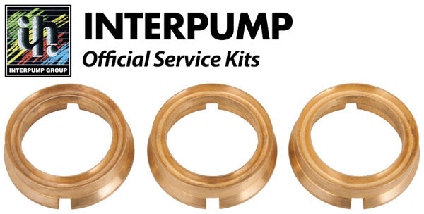 Interpump Service/Repair Kit 42