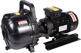 2" Pacer S Series Pump - 240V - BSP