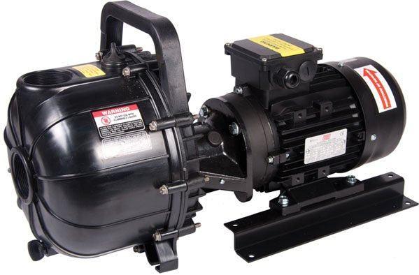 2" Pacer S Series Pump - 240V - BSP