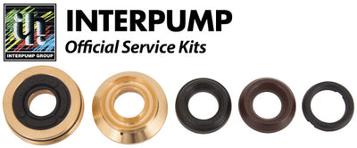 Interpump Service/Repair Kit 151