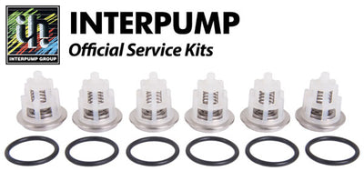 Interpump Service/Repair Kit 169