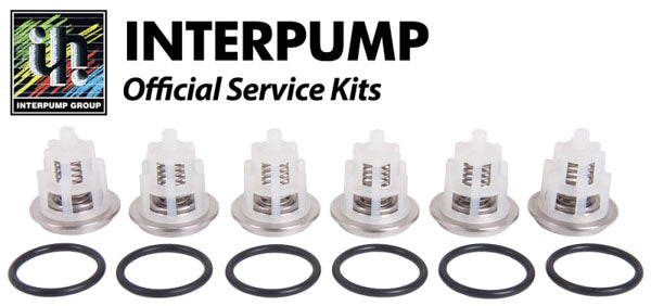 Interpump Service/Repair Kit 169