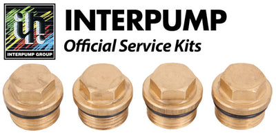 Interpump Service/Repair Kit 133
