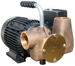 Jabsco P80 110V Oil Transfer Pump