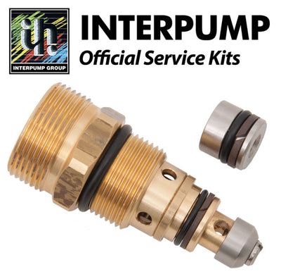 Interpump Service/Repair Kit 102