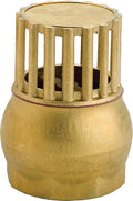 Brass Foot Filter with Valve