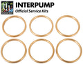 Interpump Service/Repair Kit 41