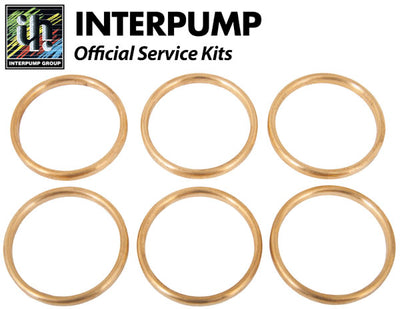 Interpump Service/Repair Kit 41