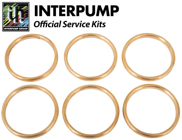 Interpump Service/Repair Kit 41