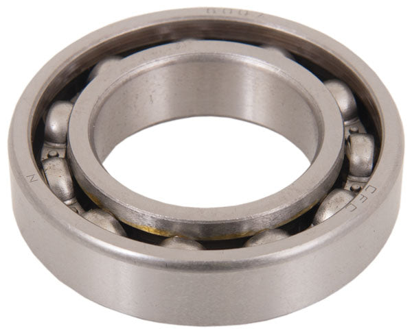 Bearing 6007