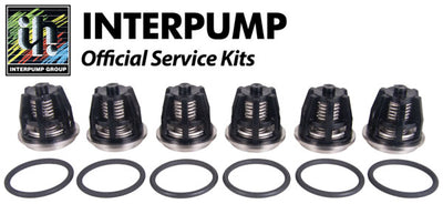 Interpump Service/Repair Kit 43