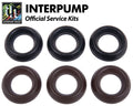 Interpump Service/Repair Kit 8