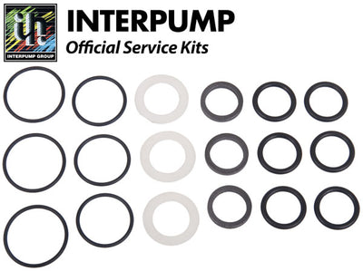 Interpump Service/Repair Kit 118