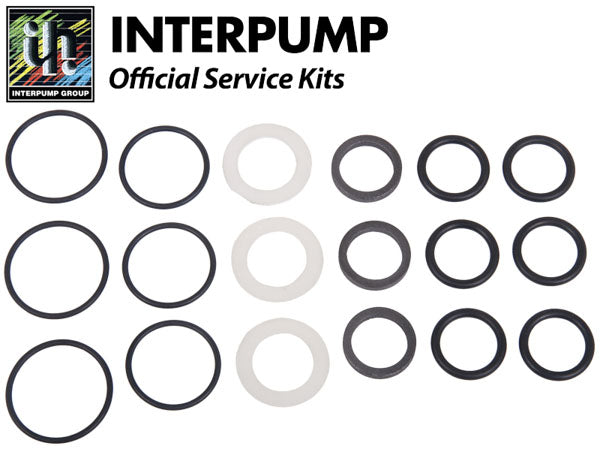 Interpump Service/Repair Kit 118