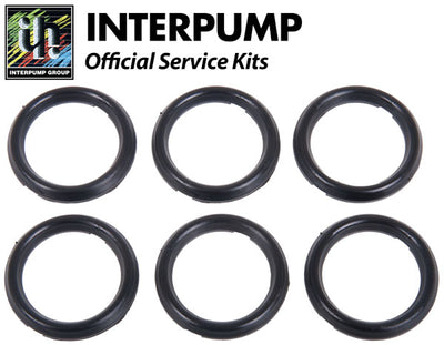 Interpump Service/Repair Kit 65