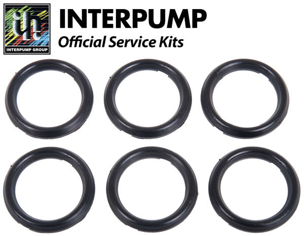 Interpump Service/Repair Kit 65