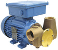 Jabsco P80 110V Utility Pump