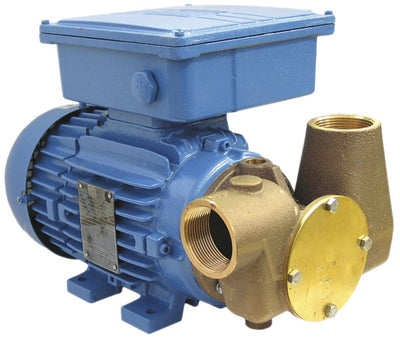 Jabsco P80 110V Utility Pump