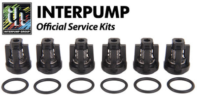 Interpump Service/Repair Kit 134
