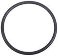Banjo Filter Gasket