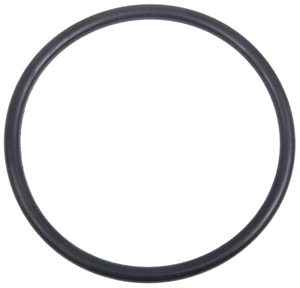 Banjo Filter Gasket