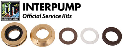 Interpump Service/Repair Kit 171