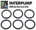 Interpump Service/Repair Kit 129