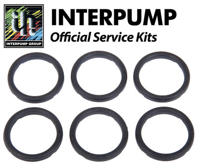 Interpump Service/Repair Kit 129